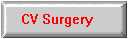 CV Surgery