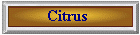 Citrus